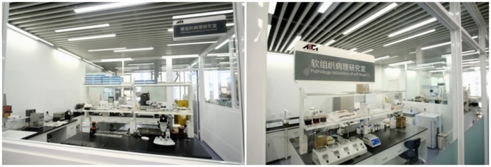 上海技術(shù)服務(wù)有限公司 專業(yè)驅(qū)動(dòng)，智領(lǐng)未來